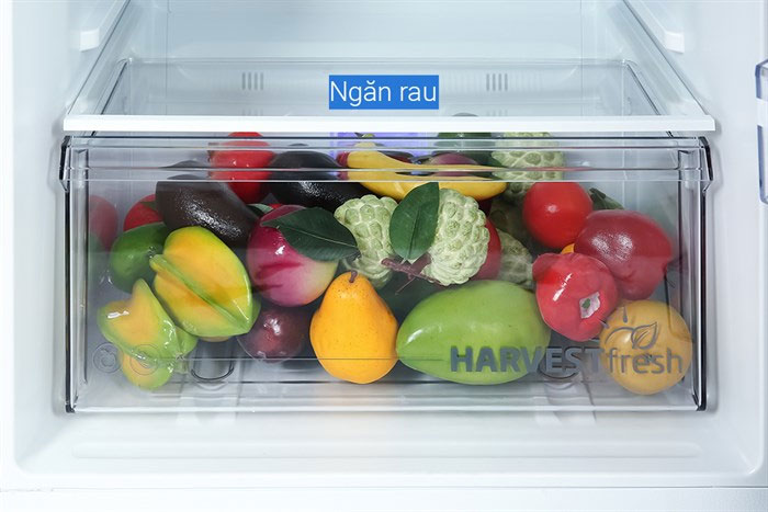 Tủ lạnh Beko RDNT401I50VDK cũng được trang bị ngăn rau củ riêng biệt