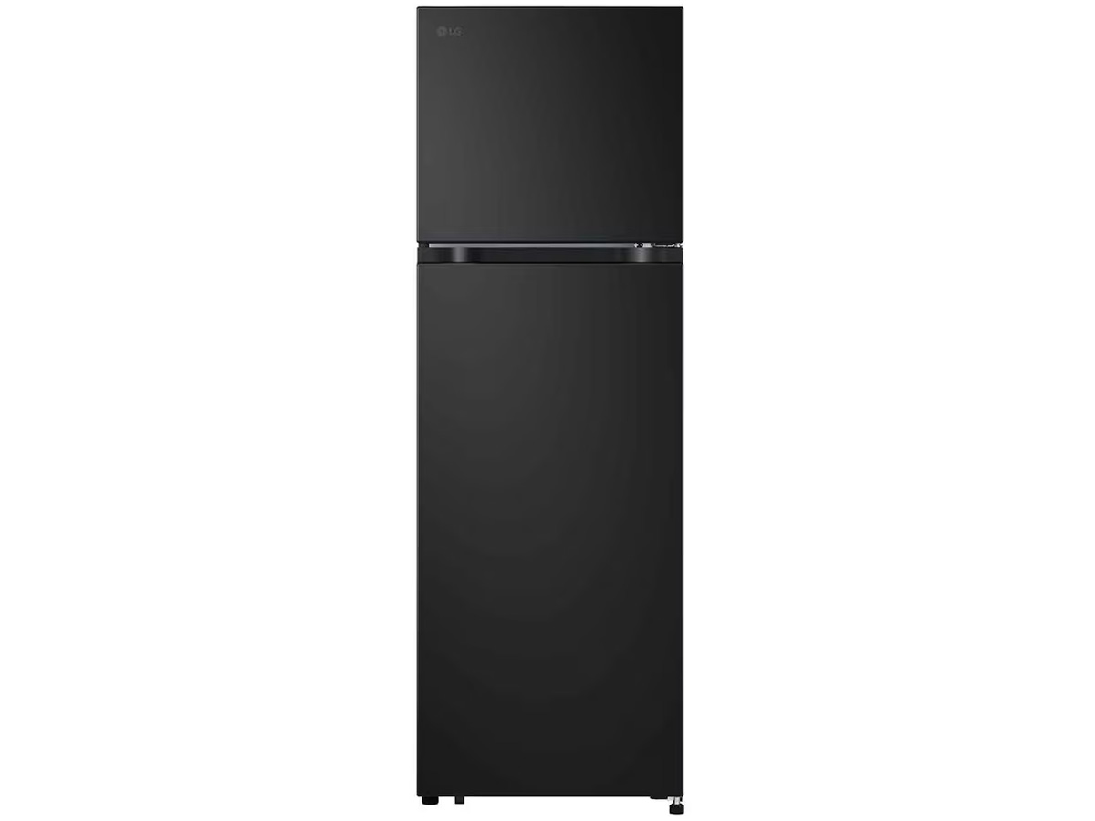 Tủ lạnh LG Inverter 266 lít LTB26BLM
