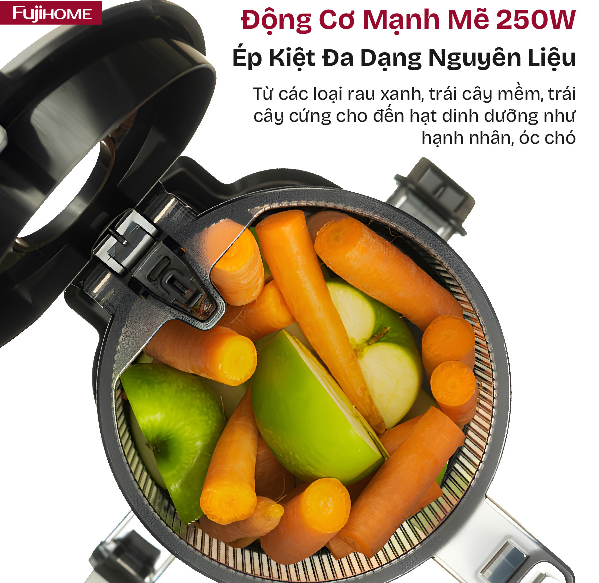 Máy ép chậm Fujihome SJ16