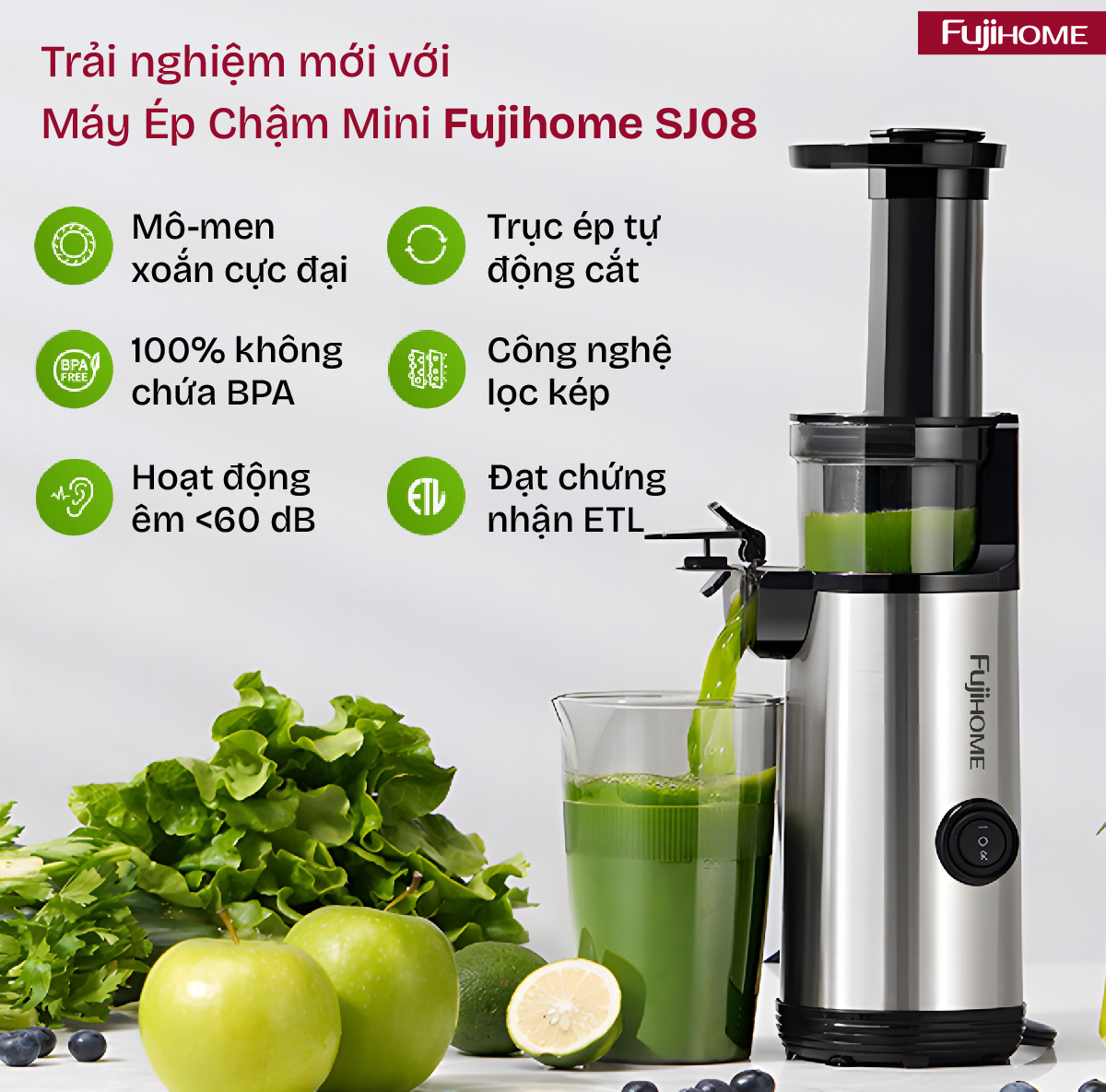 Fujihome SJ08