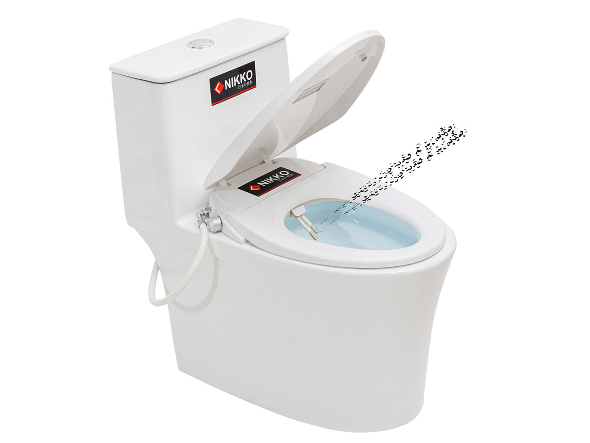 Bộ bồn cầu rửa cơ BC-P6001 (NK-BHX939, P6001)