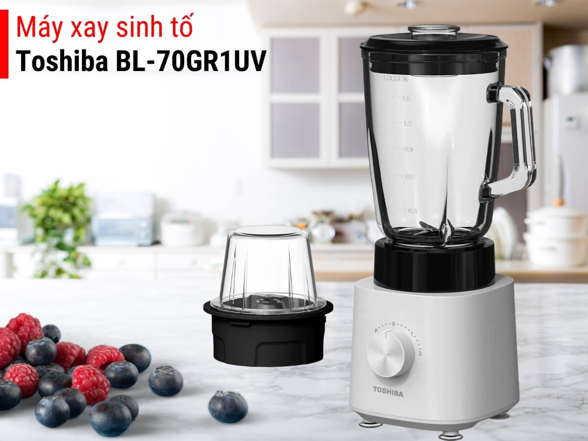Máy xay sinh tố đa năng Toshiba BL-70GR1UV (600W)
