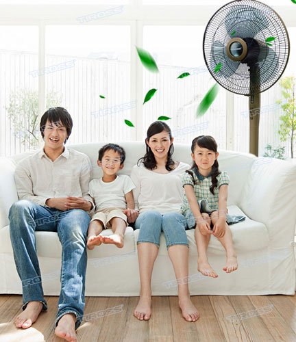 Quạt cây Tiross TS9184 tích hợp sẵn 3 chế độ gió