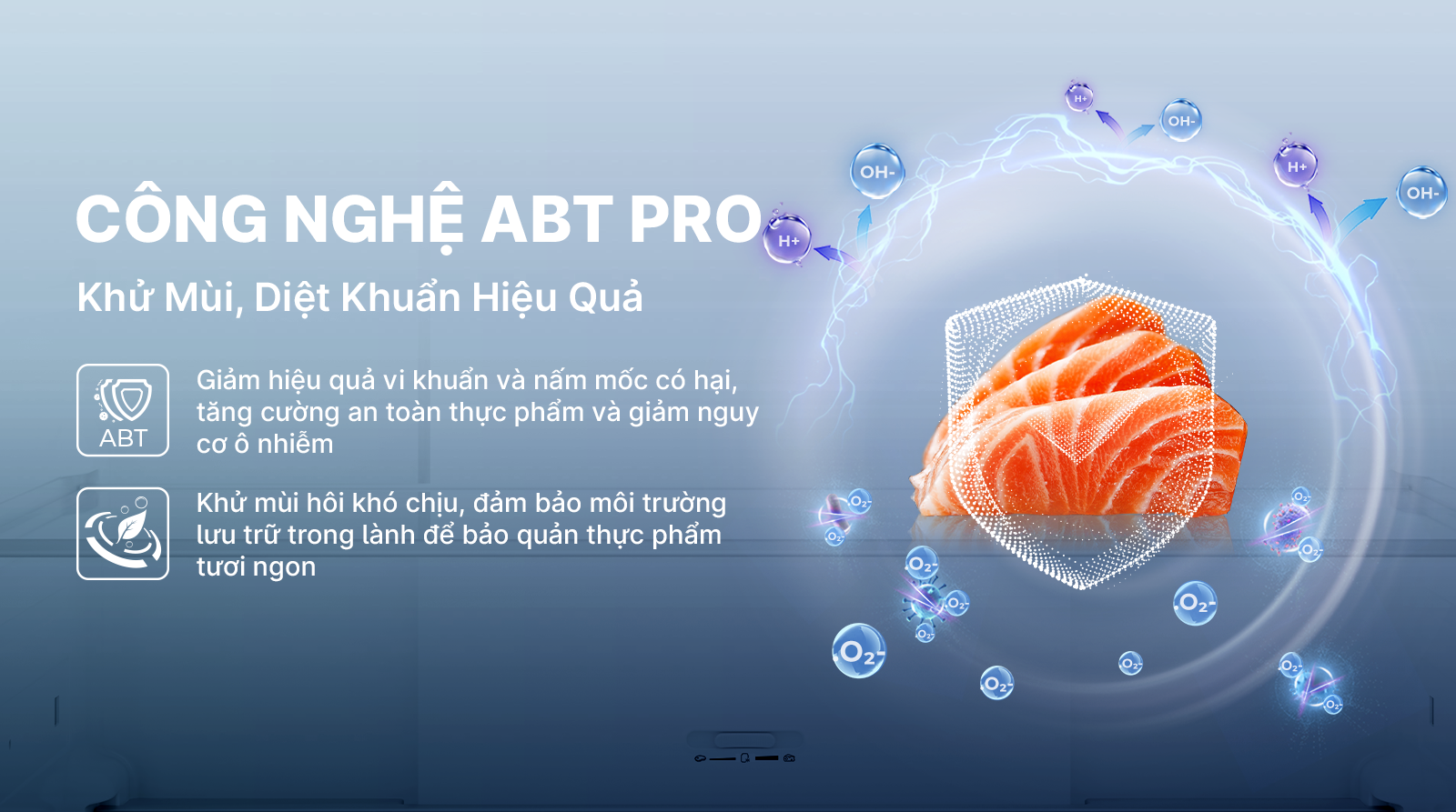 Tủ lạnh Inverter  