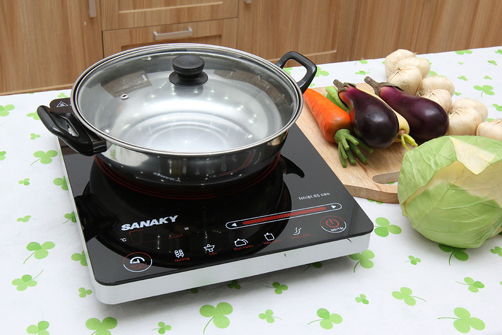 Bếp hồng ngoại Sanaky  
