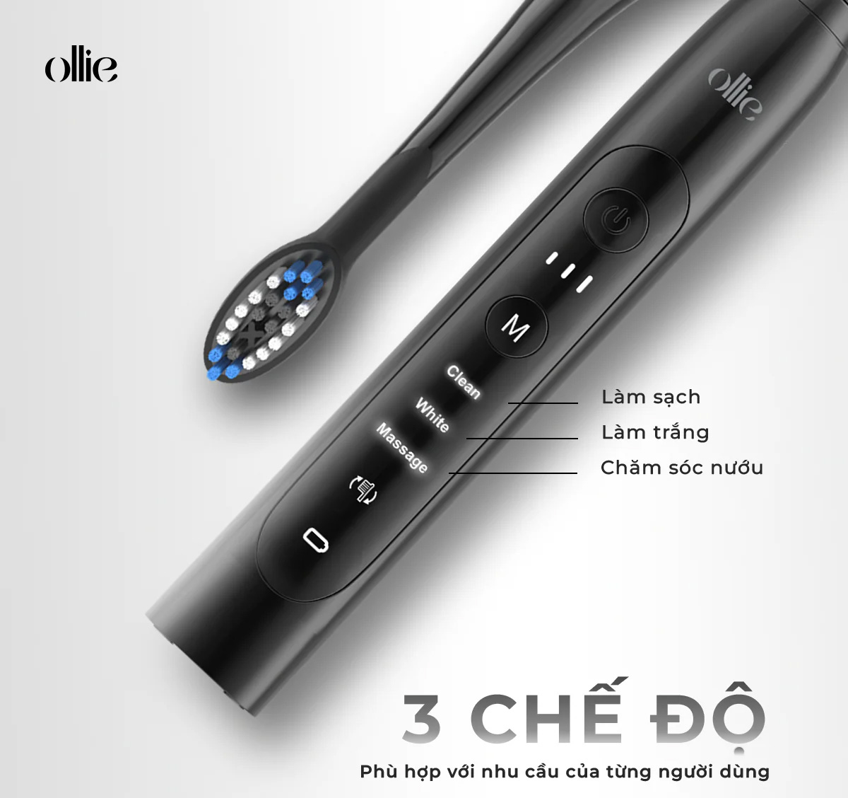 Bàn chải điện Ollie OLB-MLM-SG-01