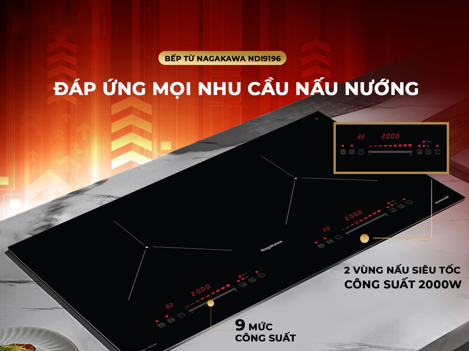 Bếp điện từ 