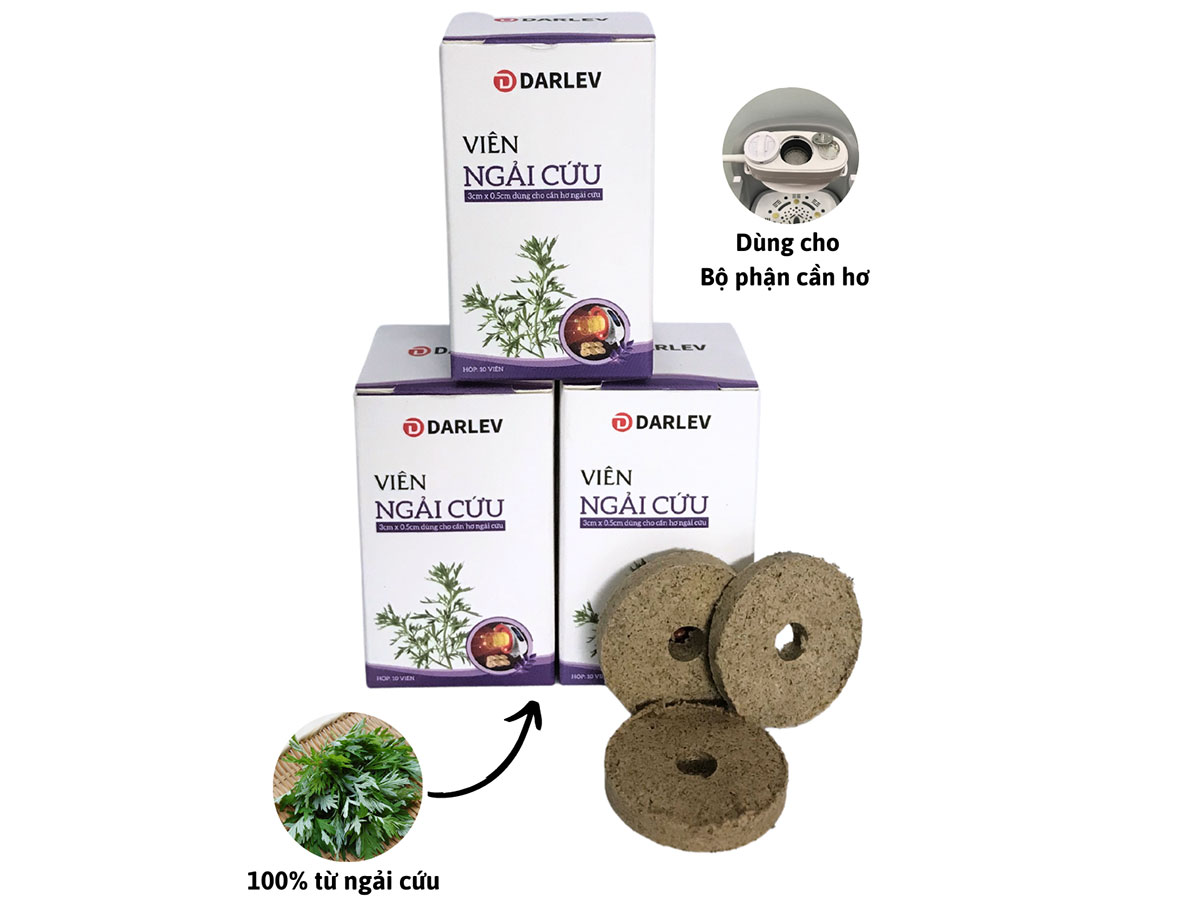 Hộp viên nén ngải cứu khô Darlev 