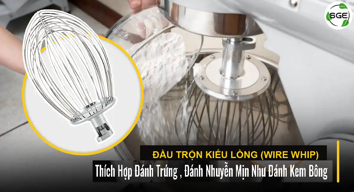Máy trộn bột Spring Green Evolution