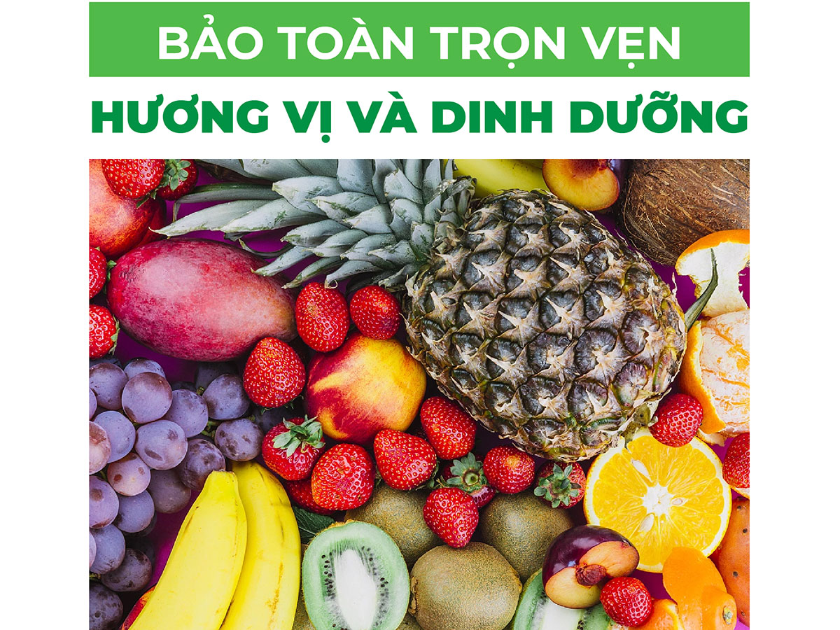 Máy ép chậm Promix PSJ-09
