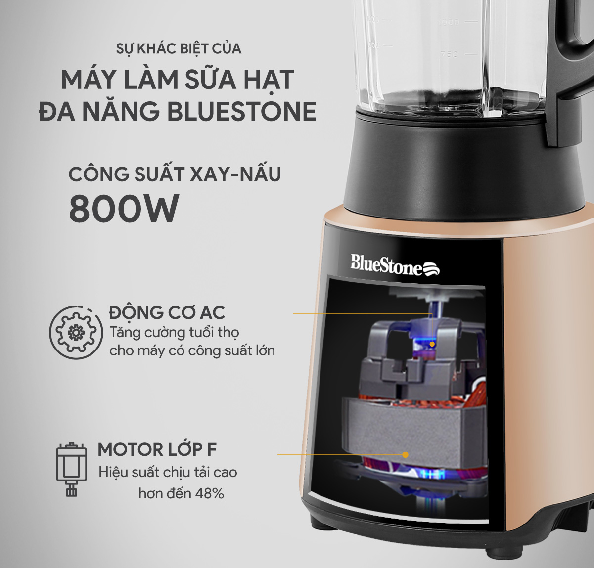 Máy làm sữa đa năng BlueStone BLB-6033