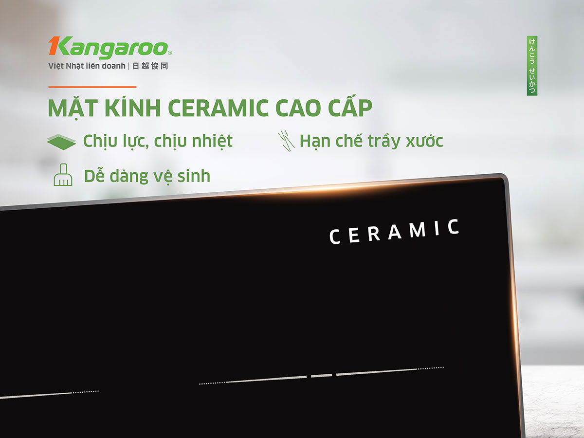 Bếp từ  