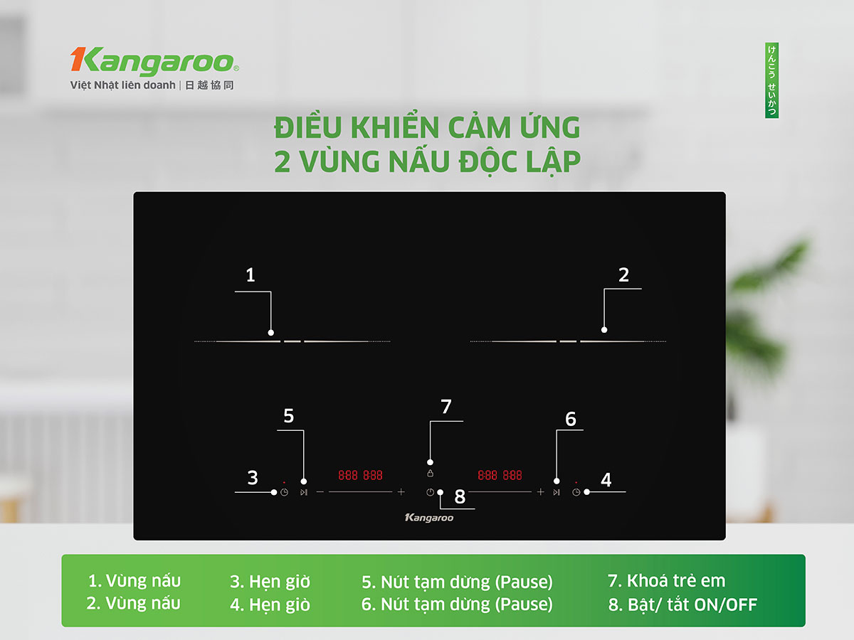 Bếp từ đôi 