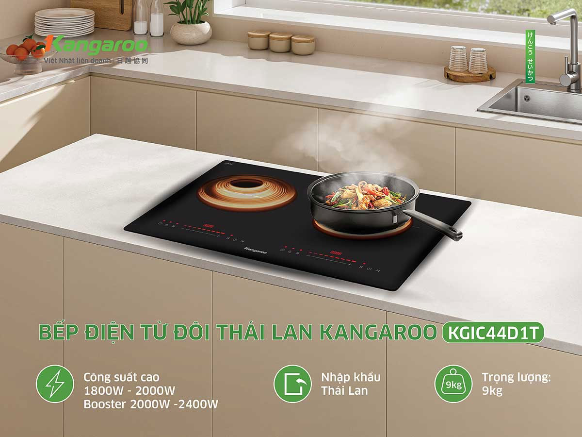 Kangaroo KGIC44D1T 