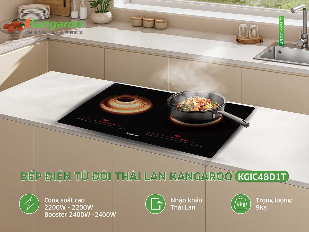 Kangaroo KGIC48D1T