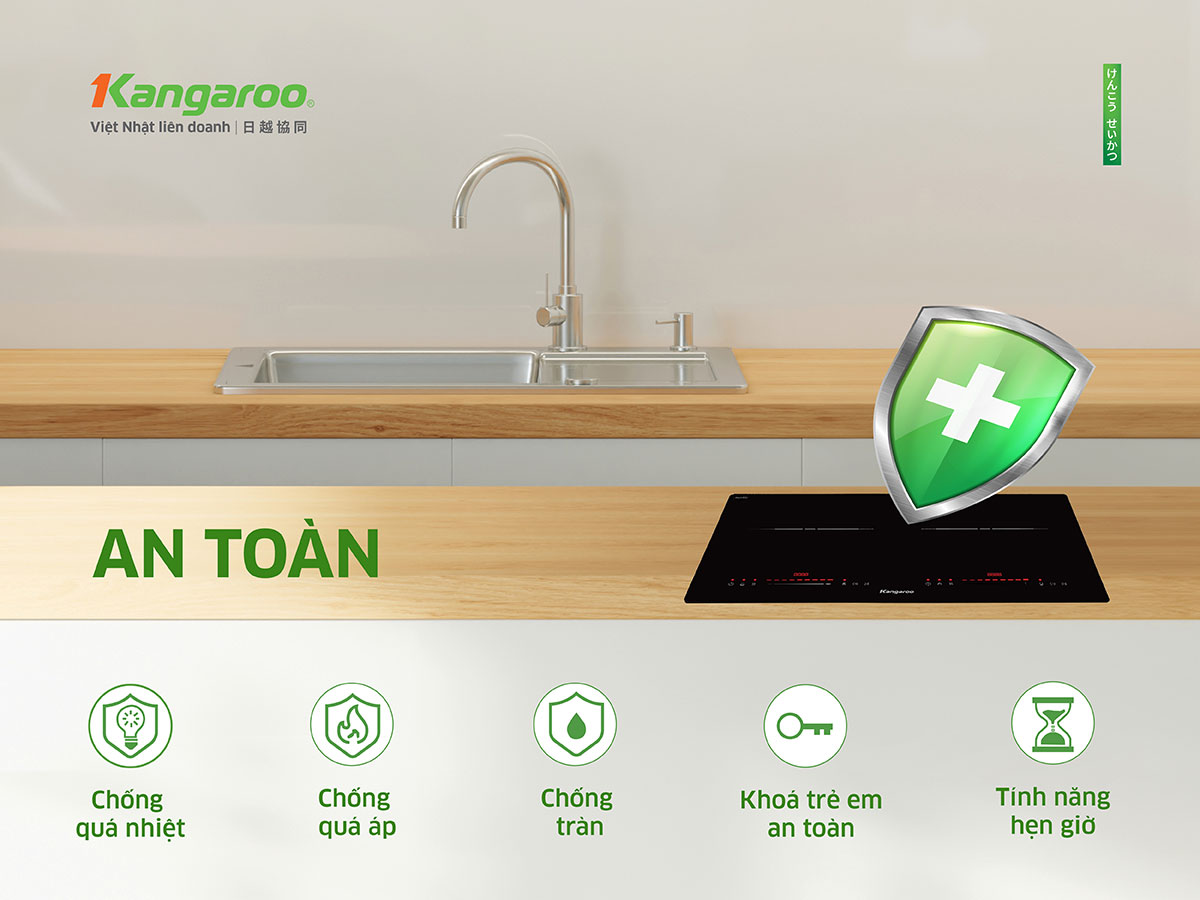 Bếp từ âm 