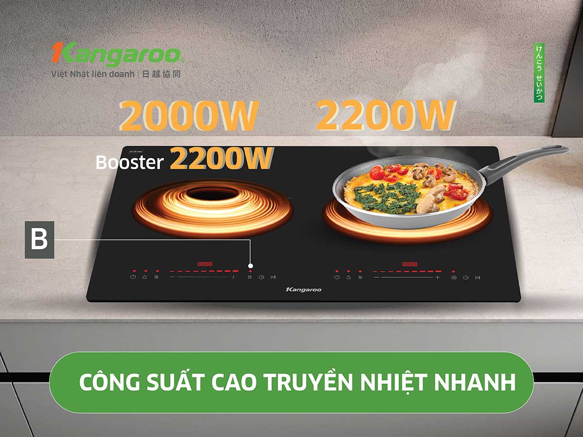 Bếp từ hồng ngoại 