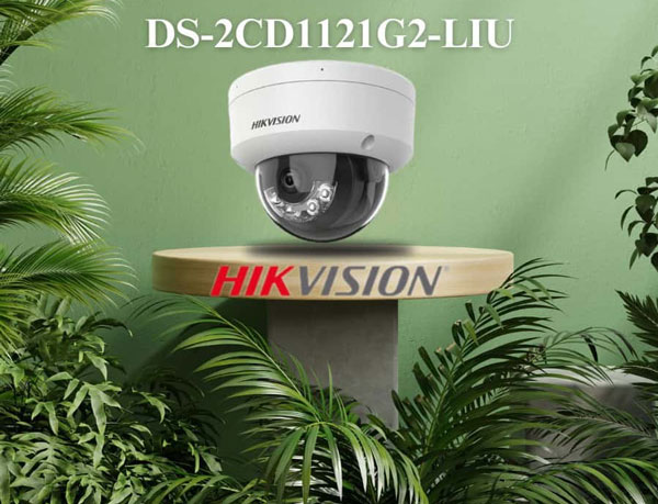 Hình ảnh camera IP 2MP bán cầu Hikvision DS-2CD1121G2-LIU