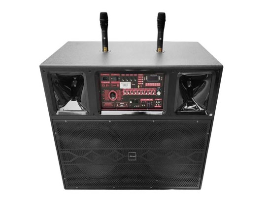 Loa Karaoke di động Microtek MTK-660
