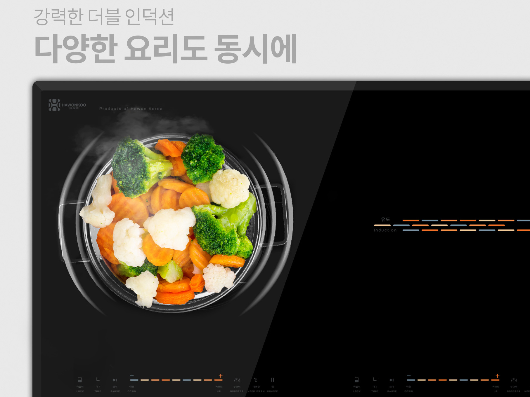 Hawonkoo CEH-205-II