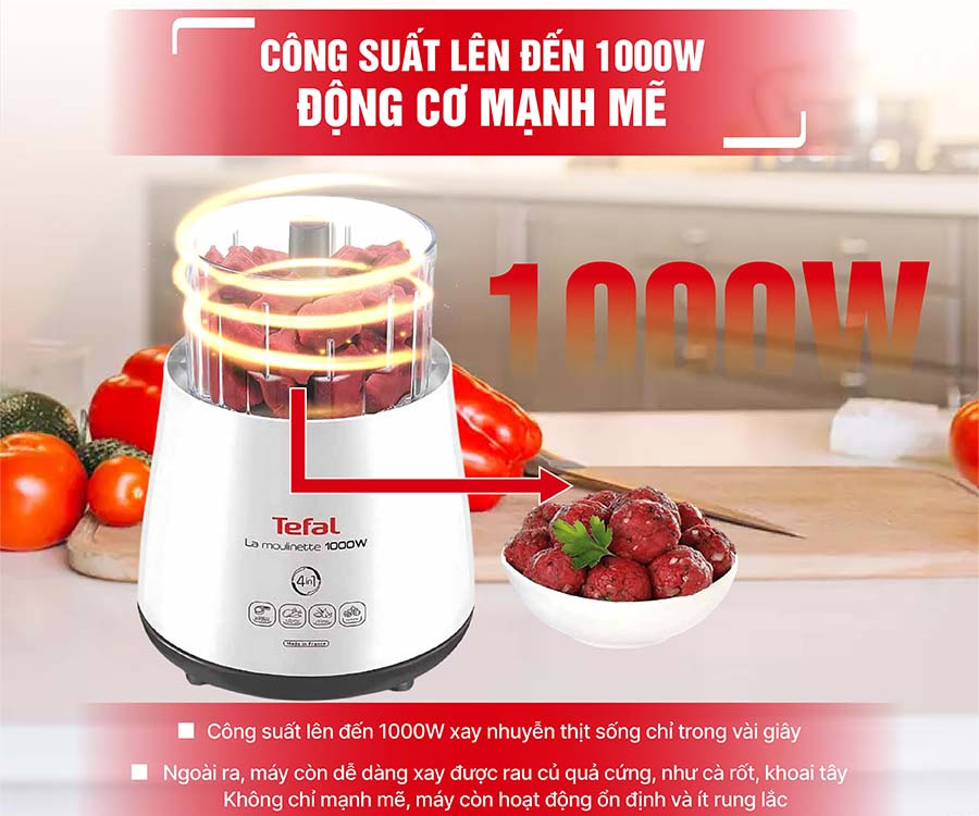 Máy xay thịt Tefal DPA130