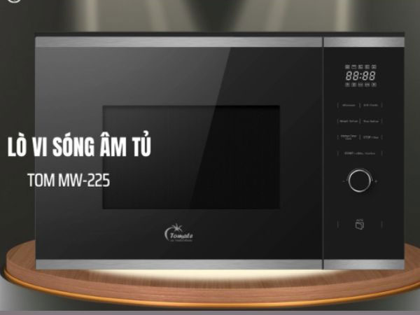Lò vi sóng âm tủ 