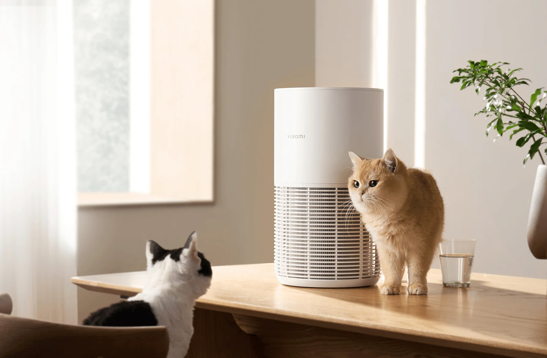 Máy lọc không khí thú cưng Xiaomi Smart Pet Care Air Purifier EU