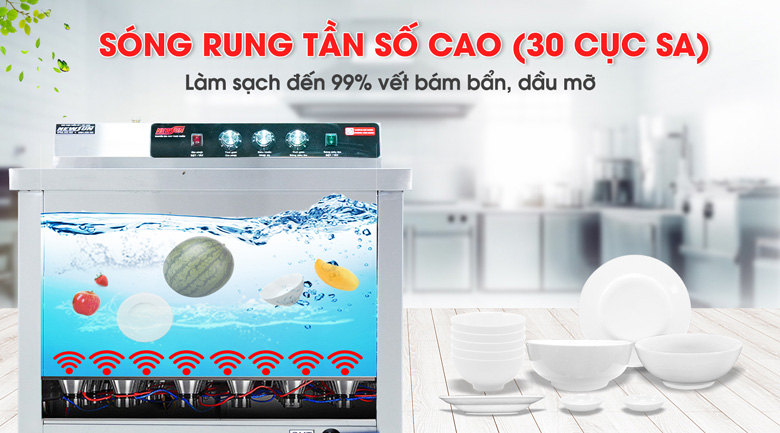Máy rửa bát sóng siêu âm NewSun NS-1000