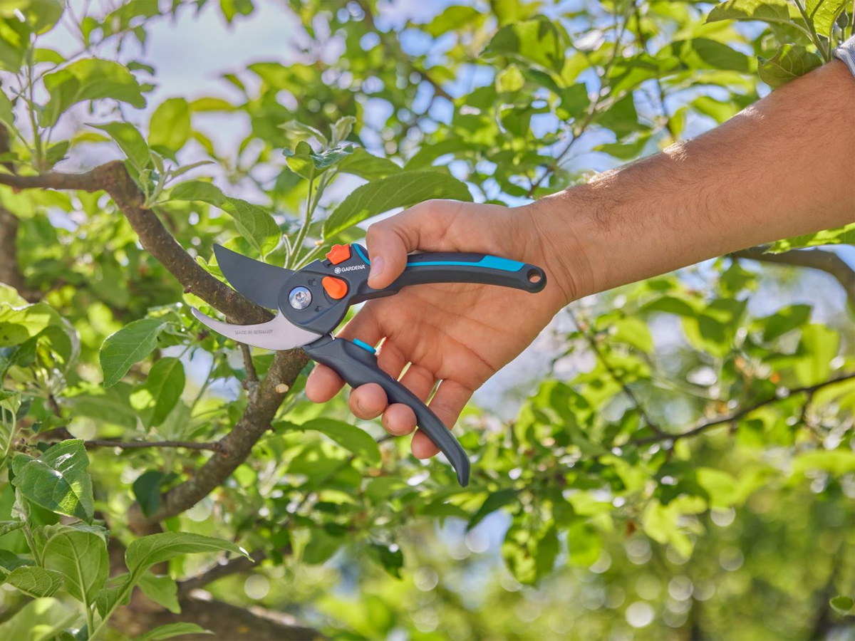 Kéo tỉa cành mũi hếch Gardena 12252-20