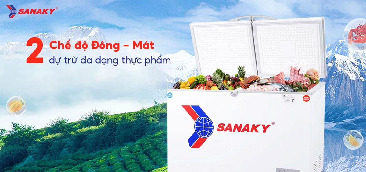 Tủ đông Sanaky  
