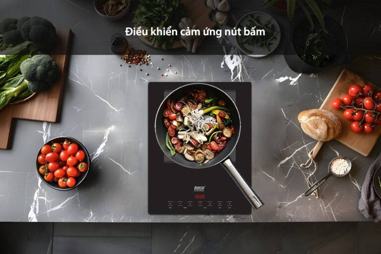Bếp từ đơn Lorca TA-1017 Plus
