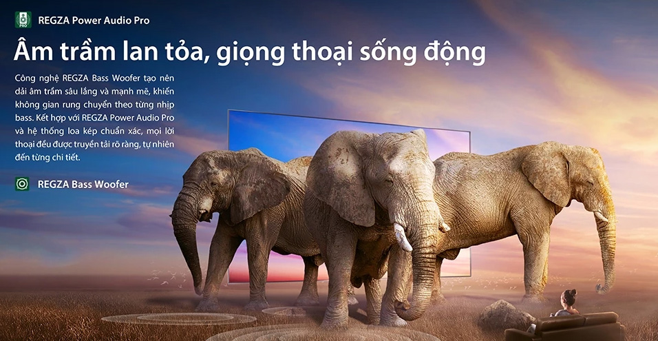 Smart Tivi Toshiba 75Z670RP