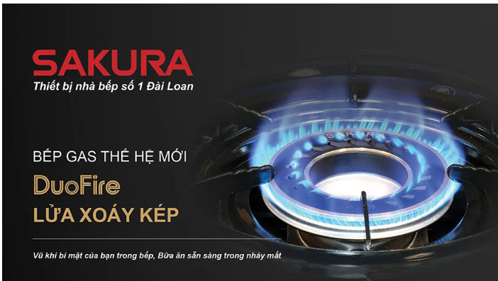 Bếp gas âm  