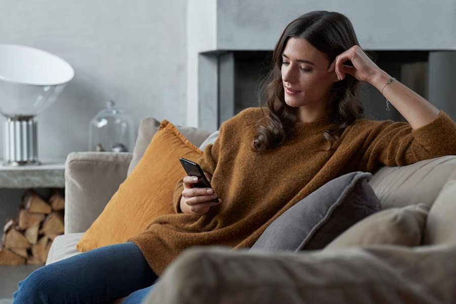 Máy hút ẩm kết hợp lọc không khí Electrolux