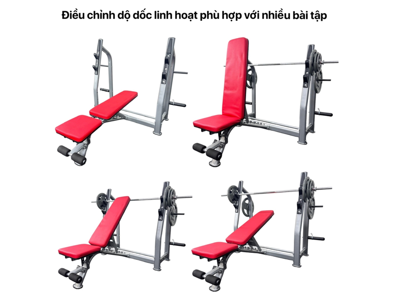 Ghế tập tạ  