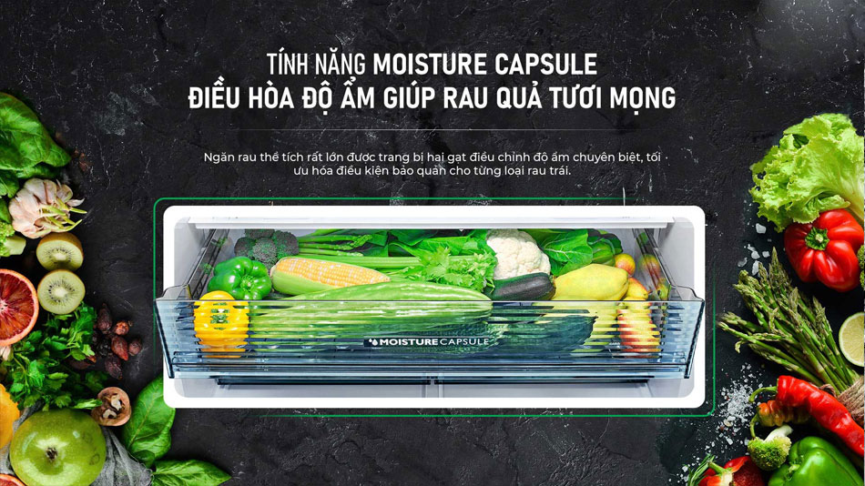 Tủ lạnh Sharp