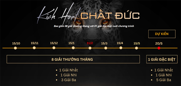 Cơ cấu giải thưởng Junger Cơ cấu giải thưởng Junger