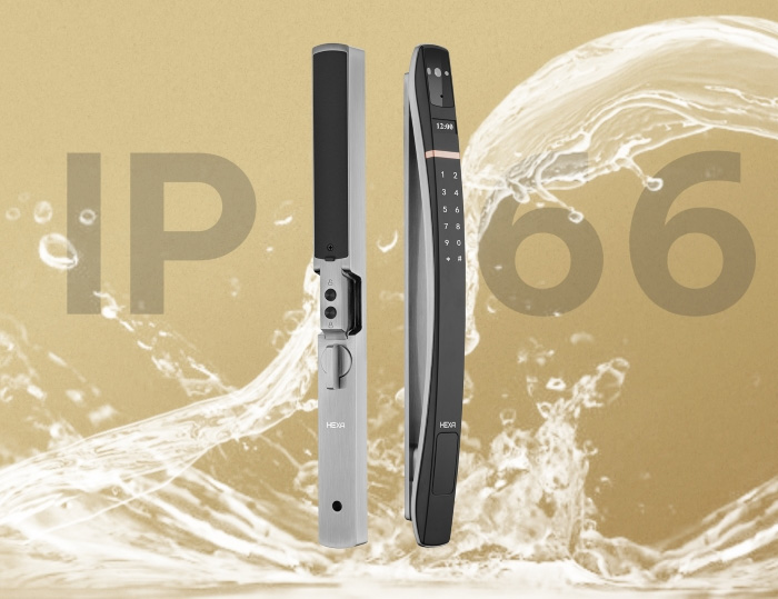 Hexa P300-Pro