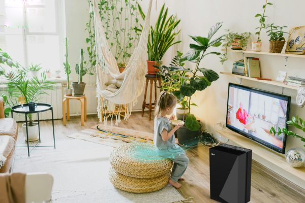 Máy hút ẩm dân dụng  