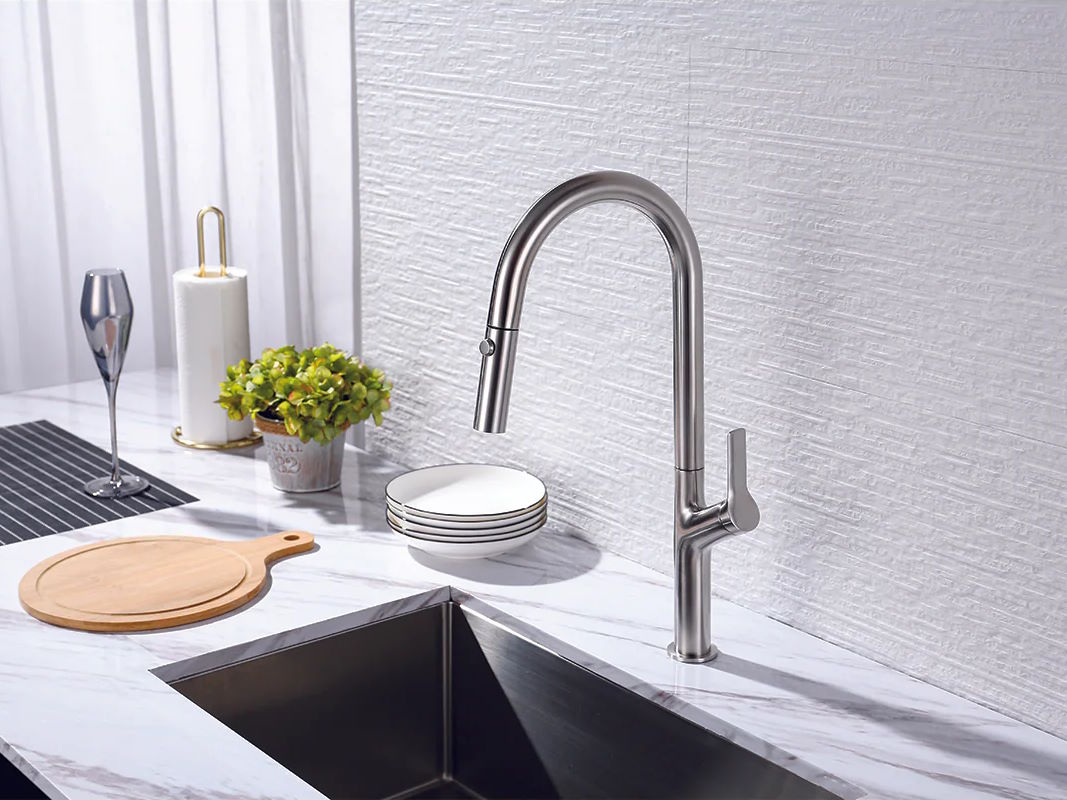 Vòi rửa chén Hafele LUX-P HT25-SH1F449