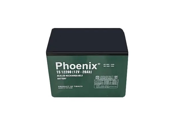 Ắc quy Phoenix TS12200 (12V - 20AH)