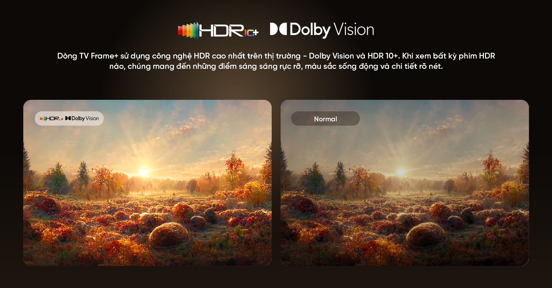 Google Tivi Coocaa 4K 65LN7000G