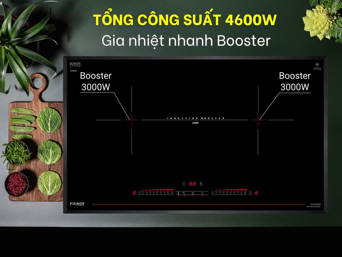 Bếp Fandi FD-939GD