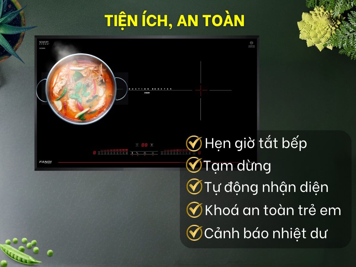 Bếp từ âm Fandi