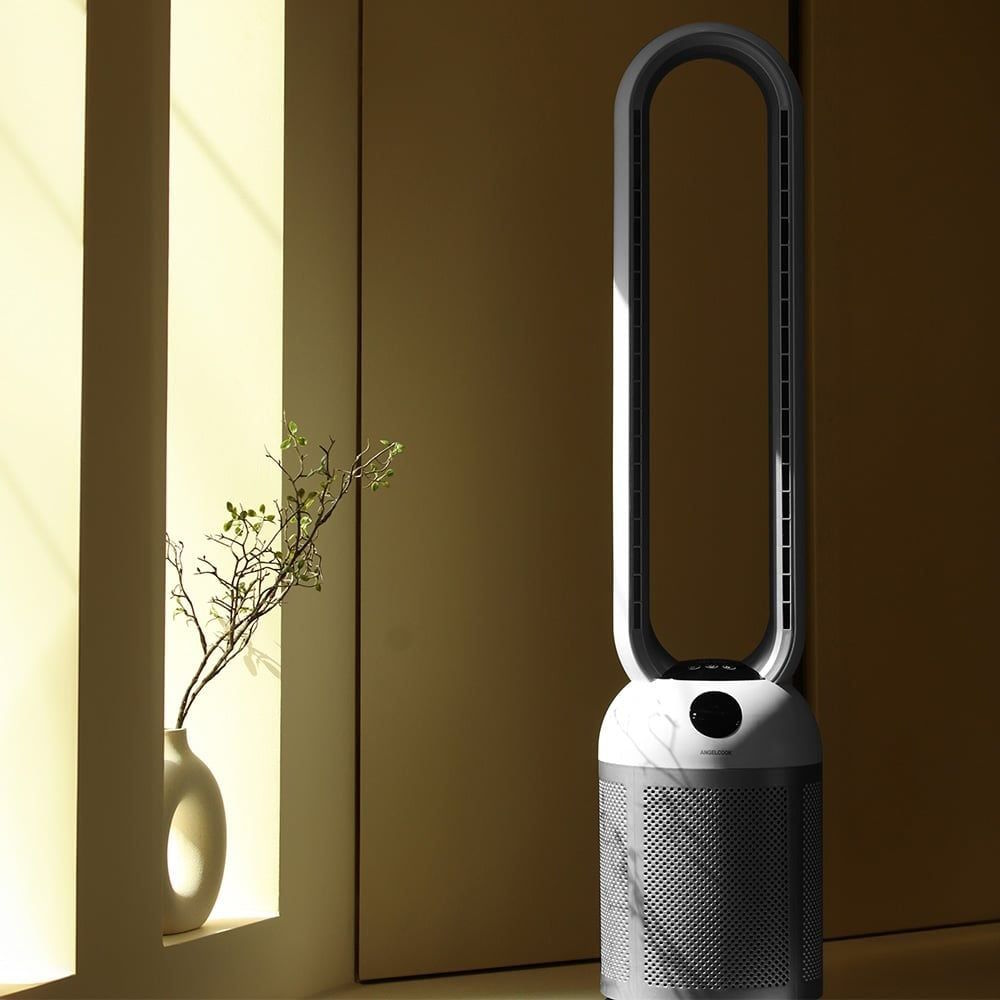 Quạt Paveden PBF-307S-DC