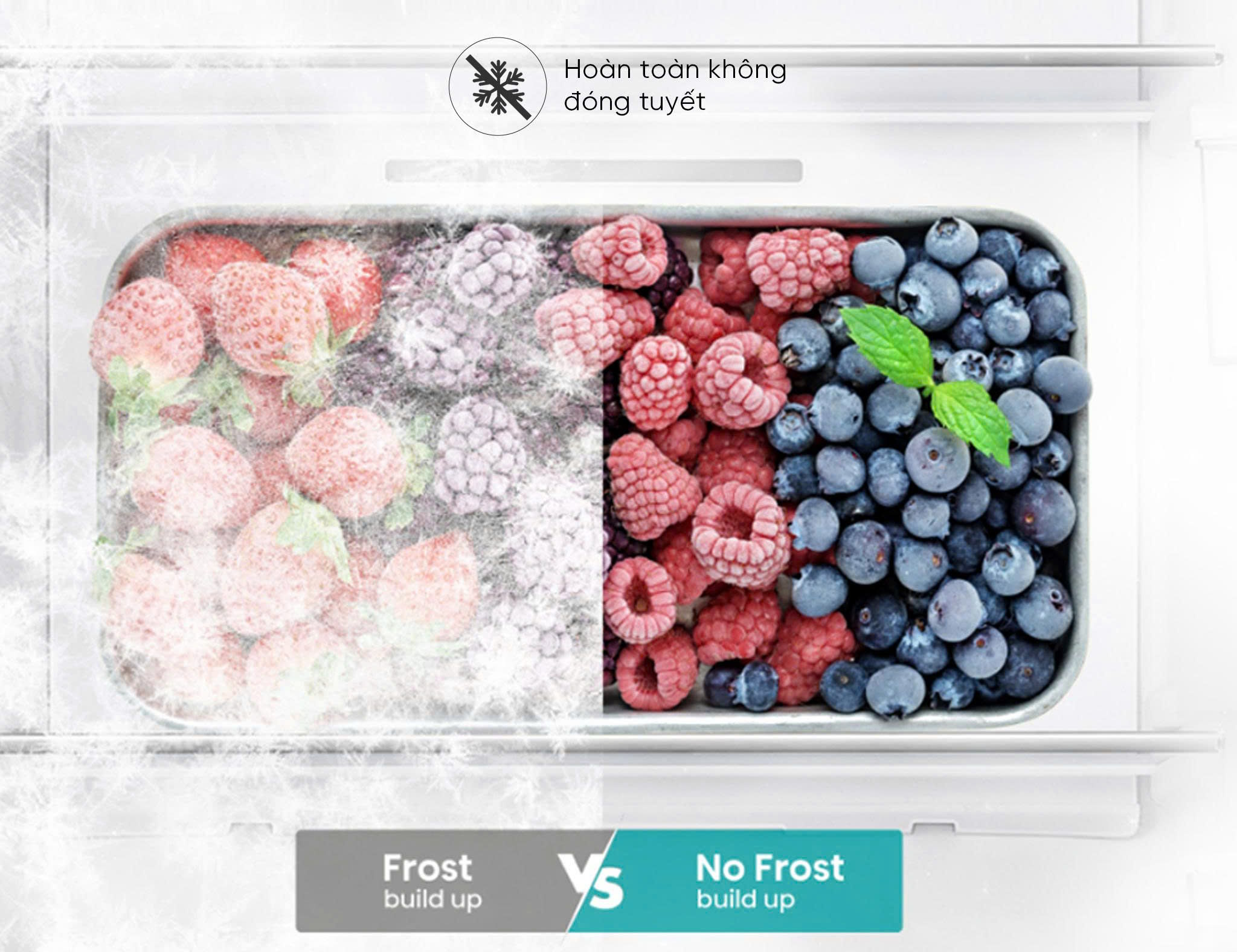 Hisense Inverter 550 lít RS708N4EBND