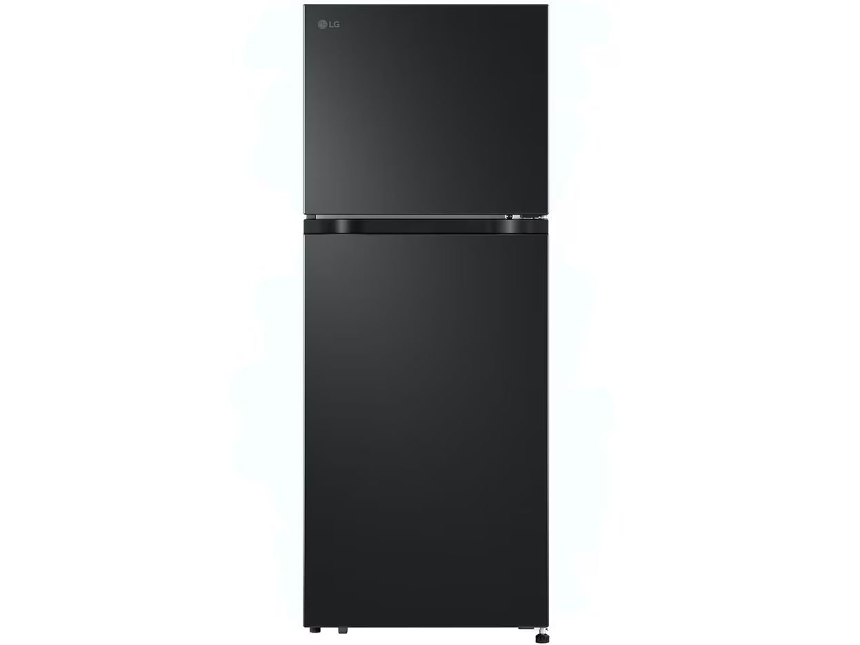 Tủ lạnh LG Inverter 217 lít LTB21BLMI