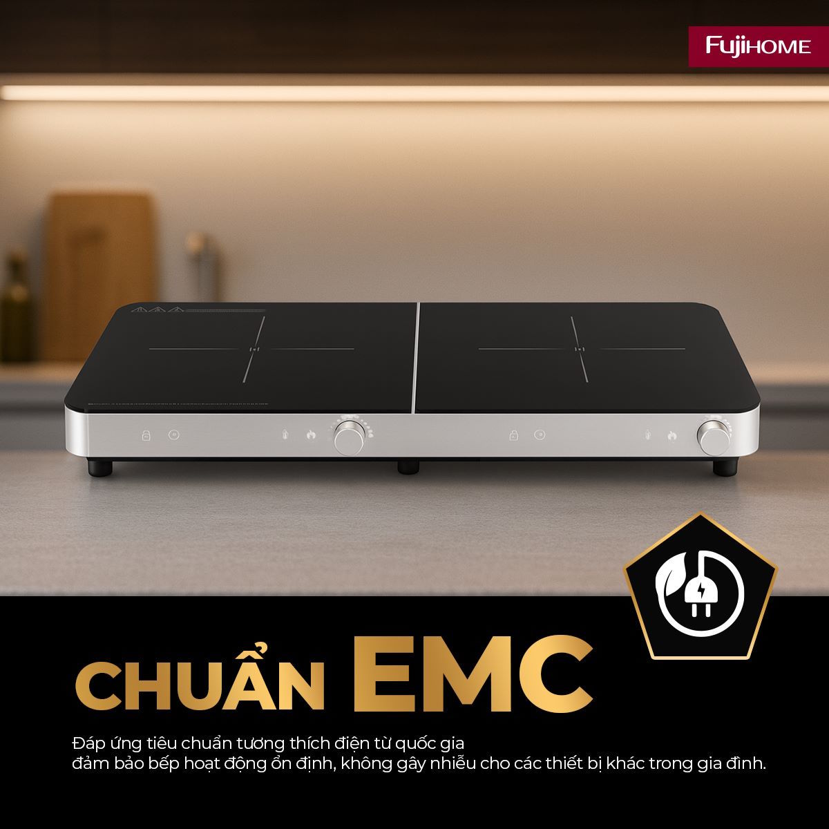 Bếp từ đôi Fujihome