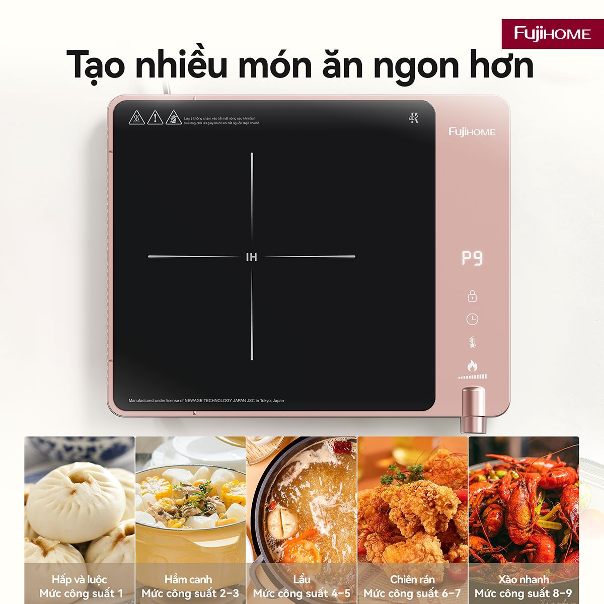 Bếp từ đơn Fujihome