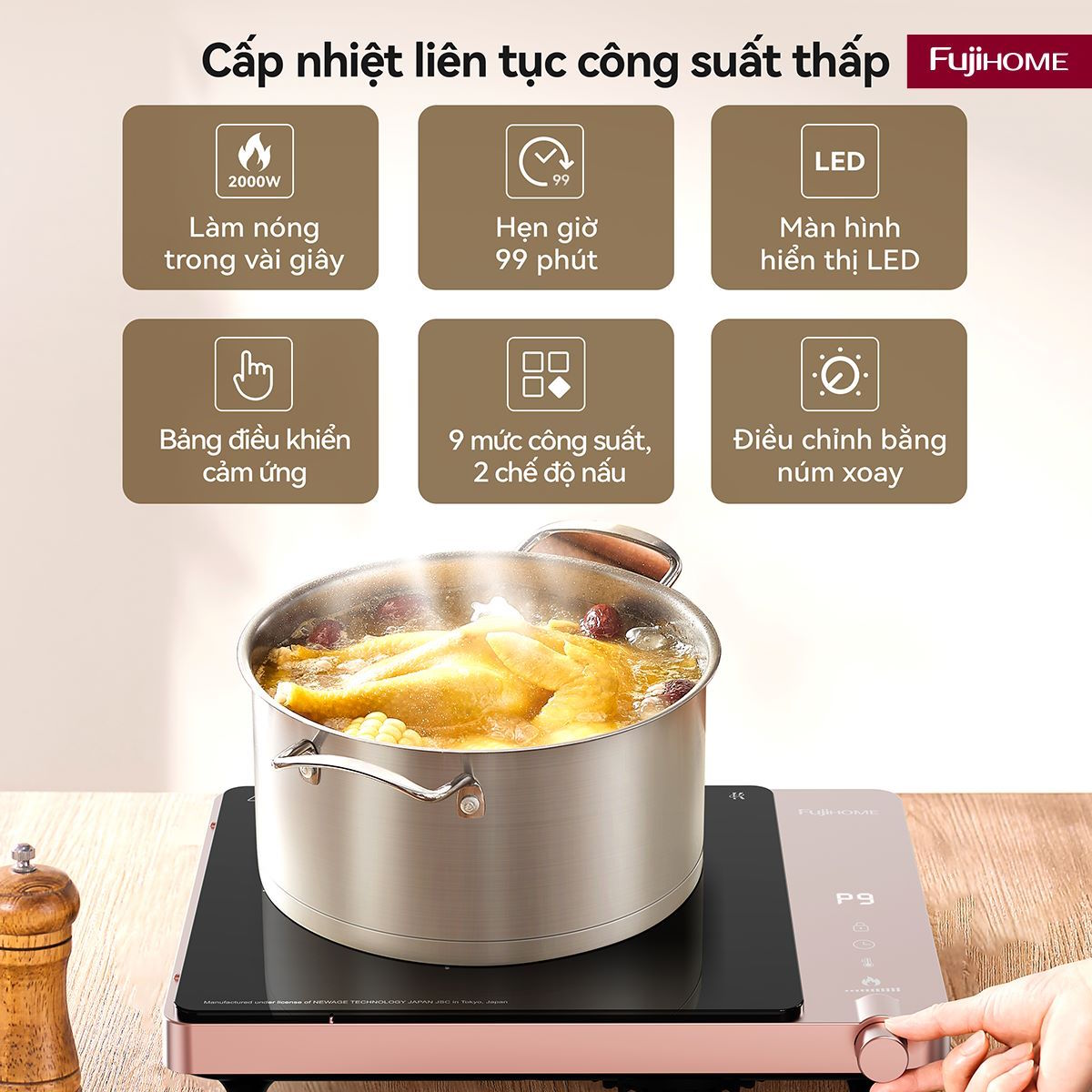Bếp từ Fujihome